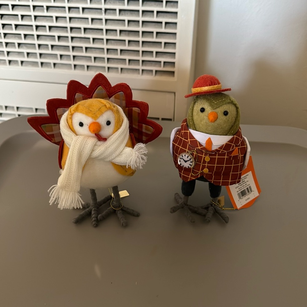 NWT Target Hyde & EEK! 2023 Fall Birds